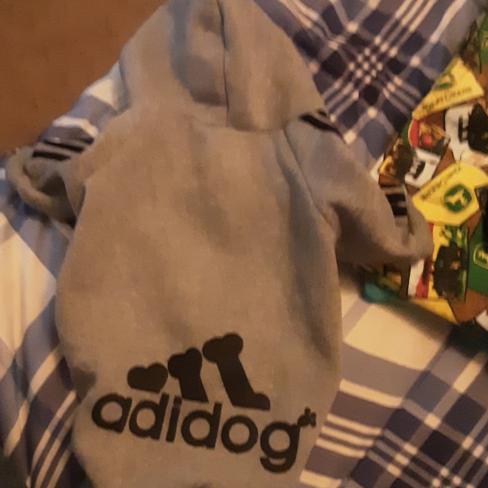 Dog hoodie